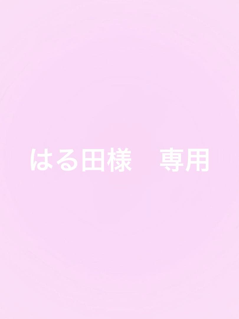 はる田　14kgf チャーム3点