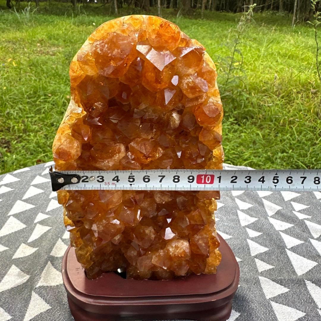 特価　シトリンクラスター　40