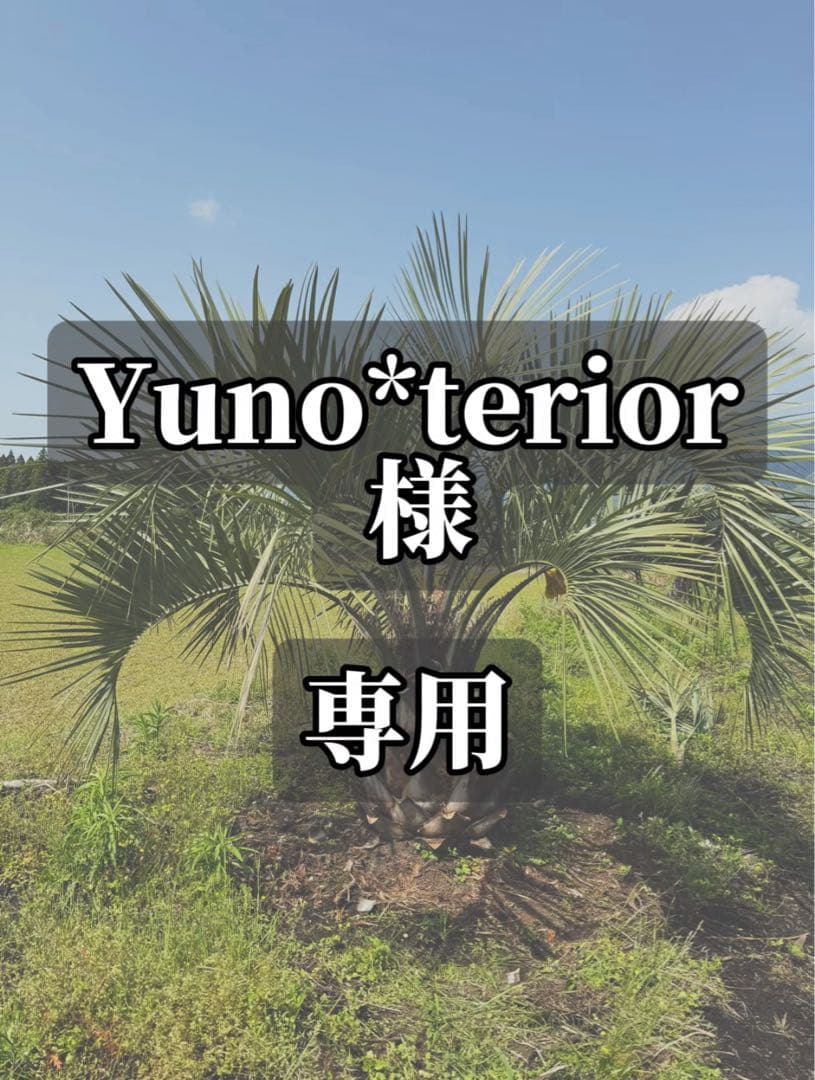 Yuno*terior 