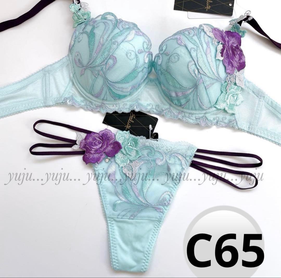 ワコール/サルート 66グループ 新品タグ付 P-upブラTバックC65 TU