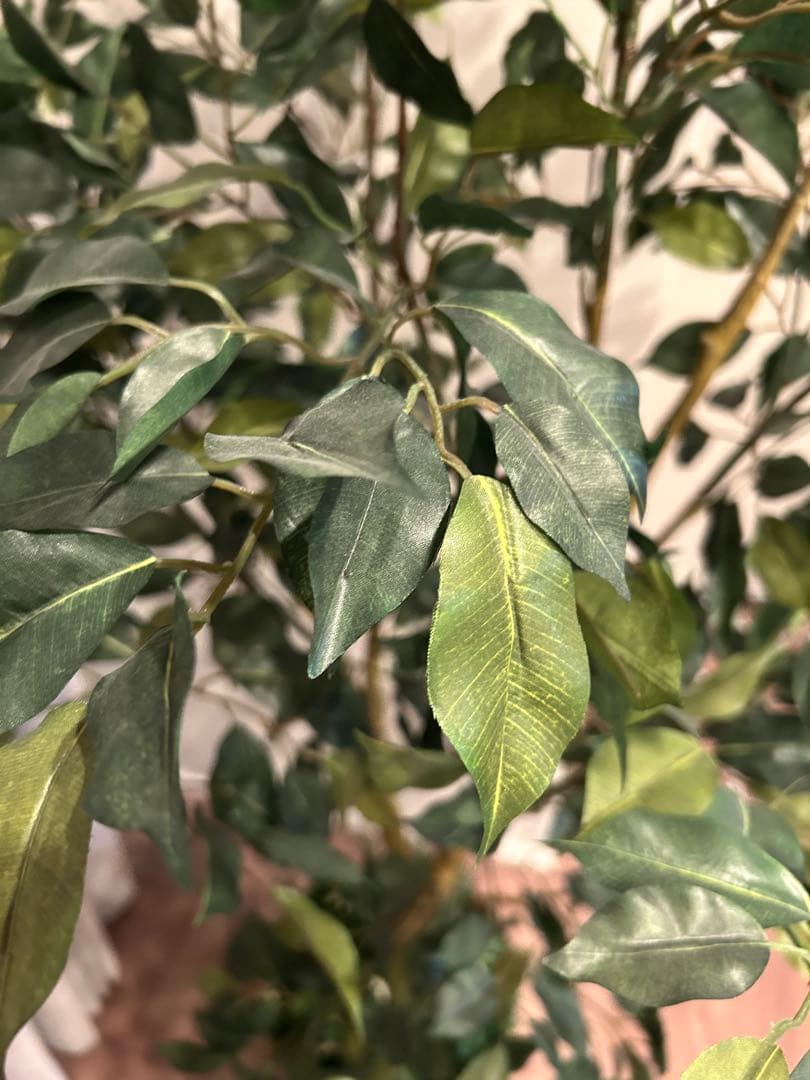 N*e様 人工観葉植物 鉢付き