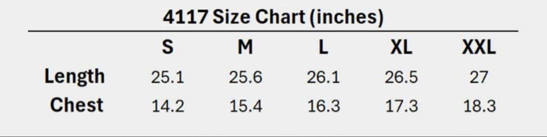 正規品　 コンプレッション　ジムTシャツ　新品未使用　日本Lサイズ