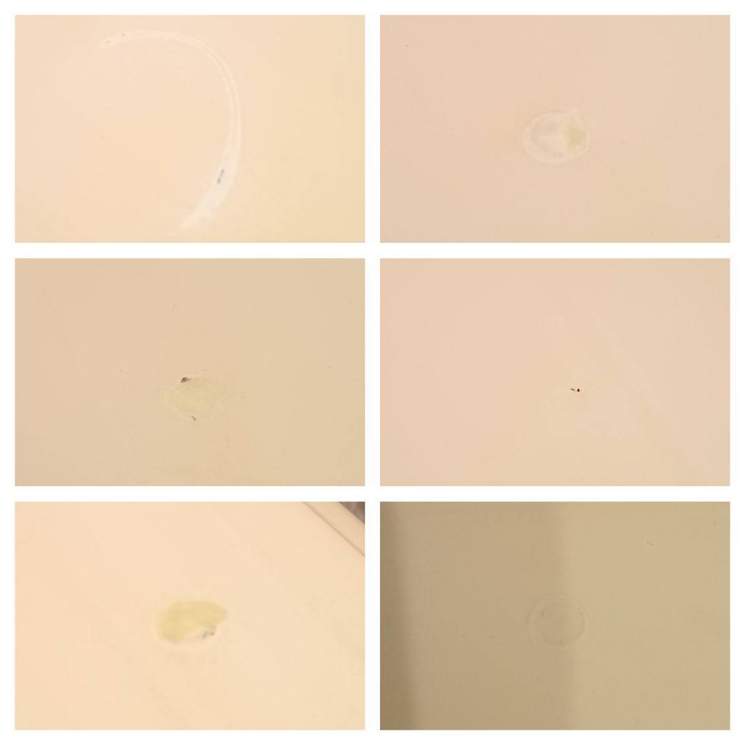 猫脚　アンティーク　テーブル　姫　家具　猫足　姫部屋　ロマプリ