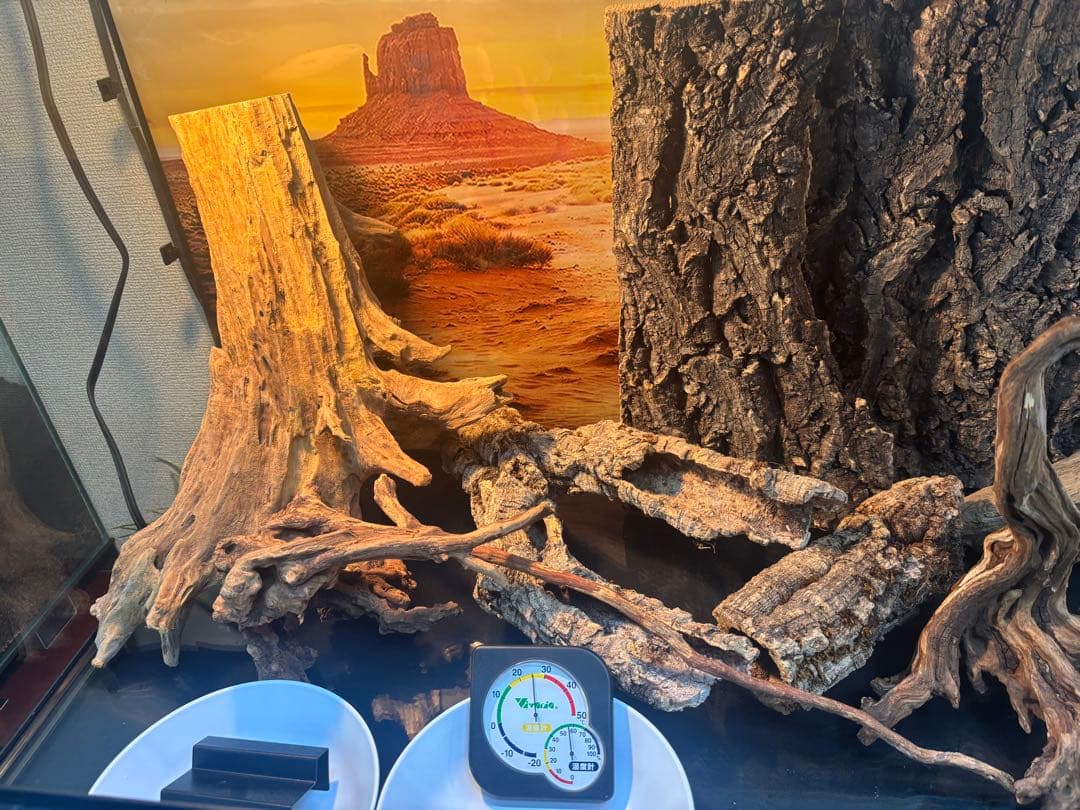 【使用僅か】グラステラリウム9060 爬虫類 飼育セット ライト 暖突 流木