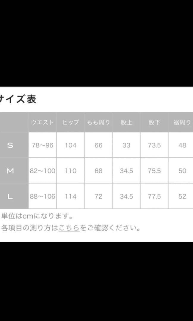 Needlesトラックパンツ ナノユニバース 別注 ストレート L