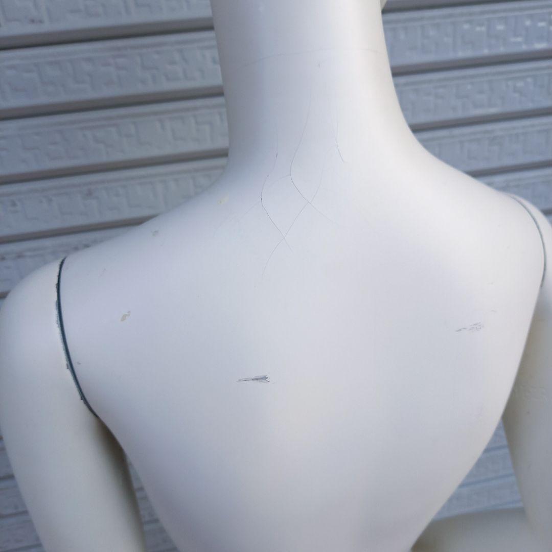 レディースマネキン 180cm ANAYI-2 トルソー ディスプレイ 婦人