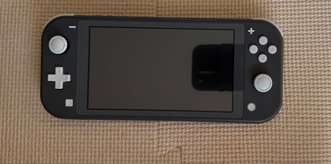 ニンテンドースイッチライト グレー 本体