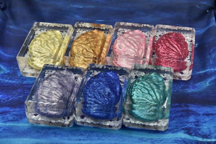 ハロウィン Jack-o'-lantern Abalone DA-11PL