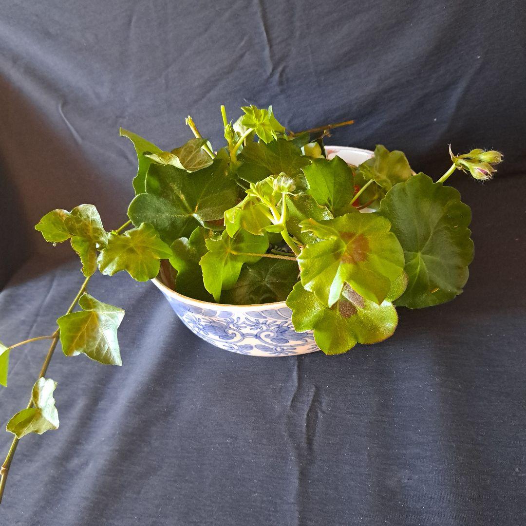 「BIG-SIZE ボウル」 (直径26cm .22cm)2客セット 骨董