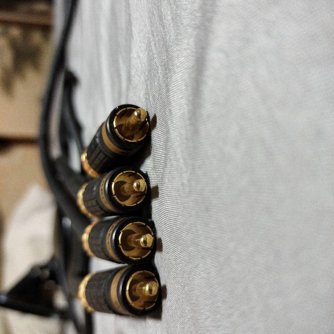 SAEC（サエクコマース）RCAケーブル　SL-1980