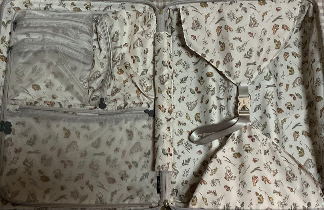 Ace エース HaNT ハント ヘイヘイ05181 スーツケース 50リットル