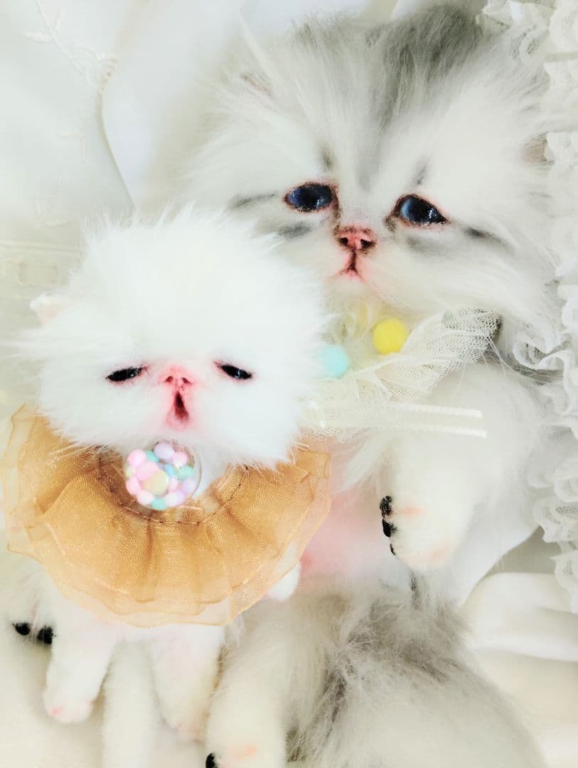 ♡さぁや♡ちゃんオーダー❤やわむぎゅ子猫ちゃん❤アートドール♡ぬいぐるみ♡