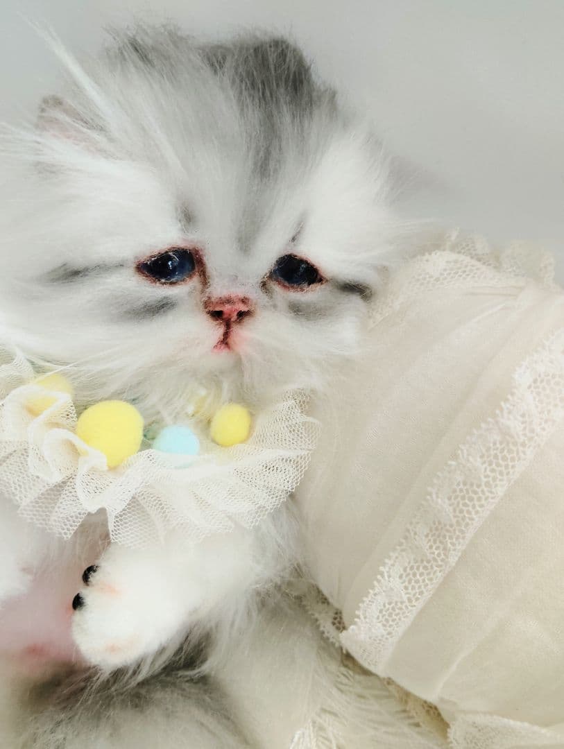 ♡さぁや♡ちゃんオーダー❤やわむぎゅ子猫ちゃん❤アートドール♡ぬいぐるみ♡