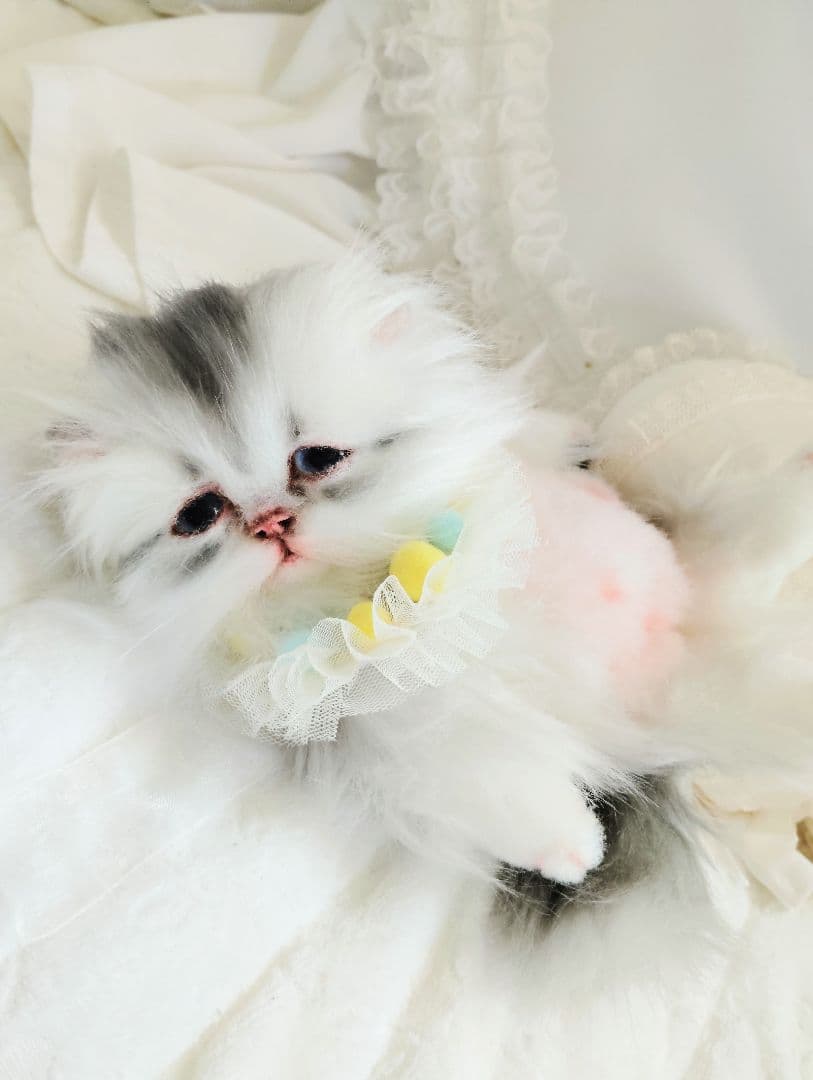 ♡さぁや♡ちゃんオーダー❤やわむぎゅ子猫ちゃん❤アートドール♡ぬいぐるみ♡