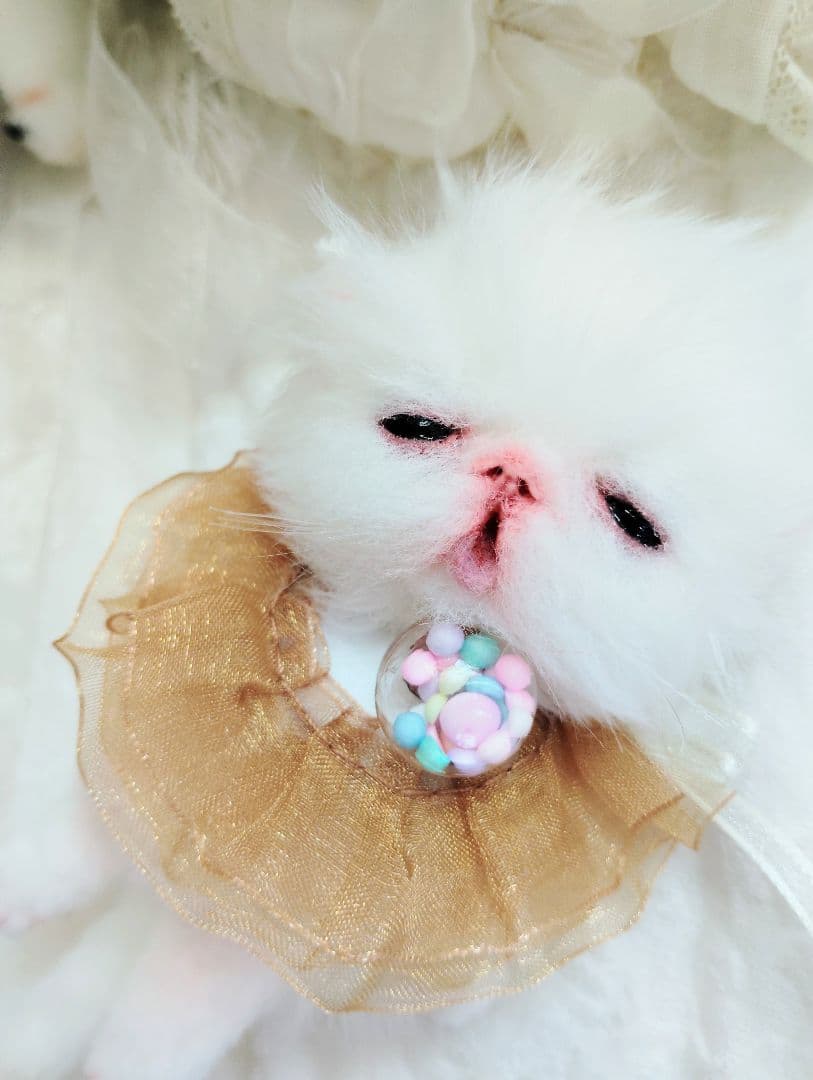 ♡さぁや♡ちゃんオーダー❤やわむぎゅ子猫ちゃん❤アートドール♡ぬいぐるみ♡