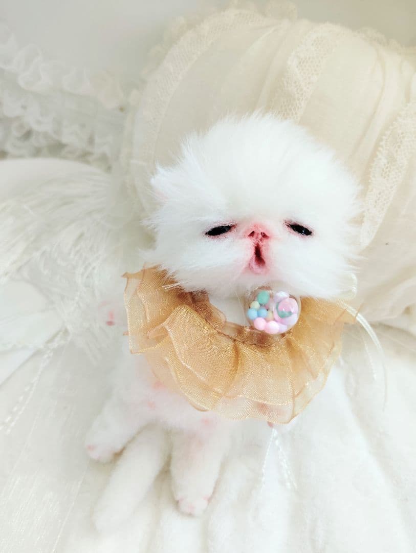 ♡さぁや♡ちゃんオーダー❤やわむぎゅ子猫ちゃん❤アートドール♡ぬいぐるみ♡