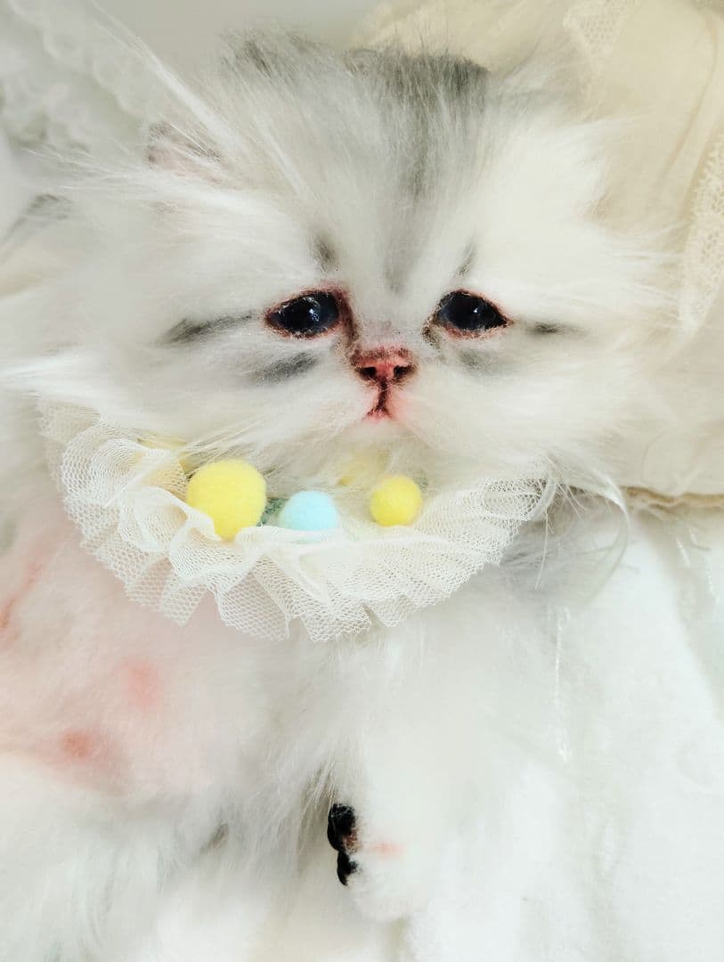 ♡さぁや♡ちゃんオーダー❤やわむぎゅ子猫ちゃん❤アートドール♡ぬいぐるみ♡