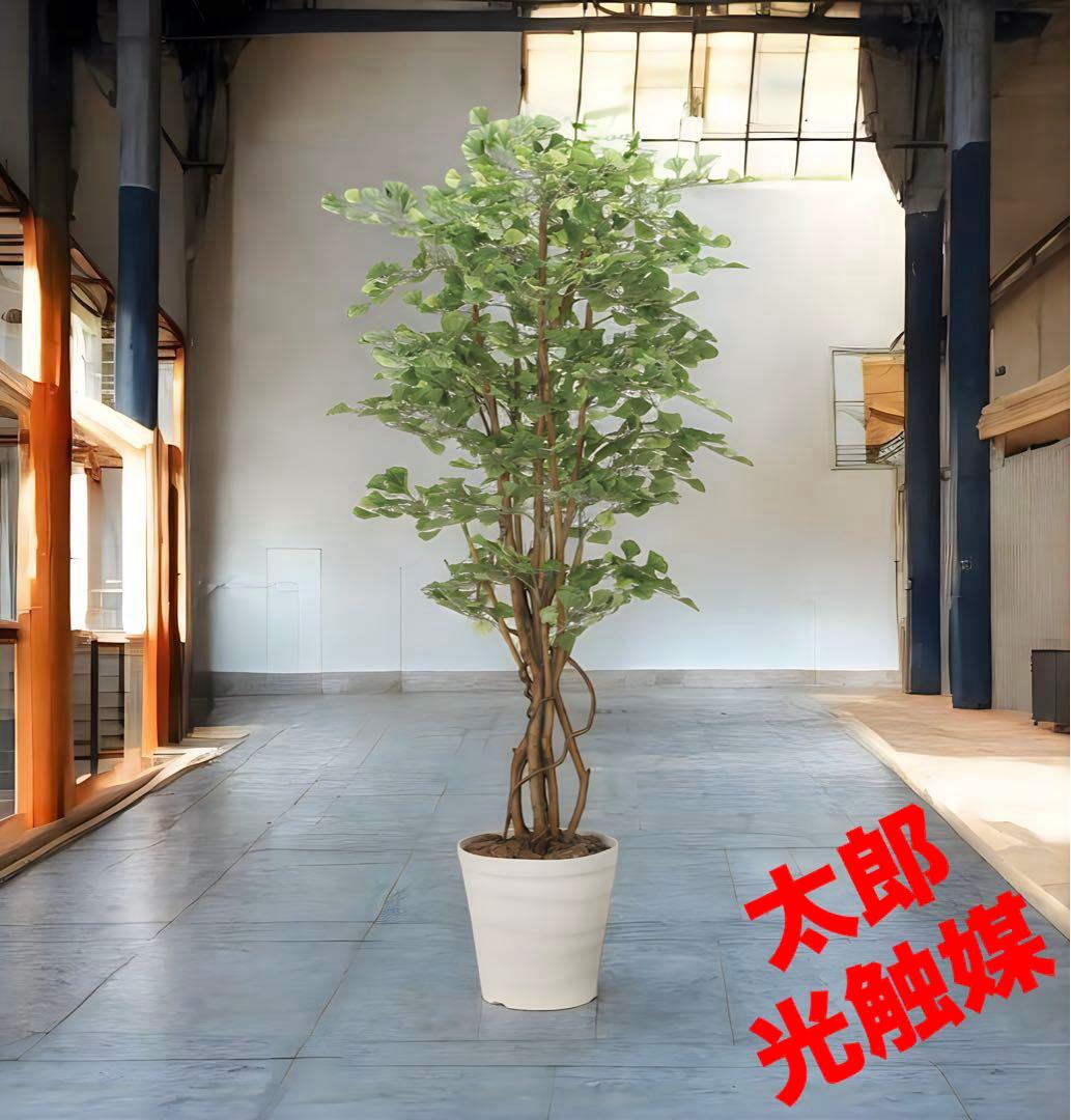 光触媒　人工観葉植物　ウォールグリーン　フェイクグリーン　イチョウの木1.8