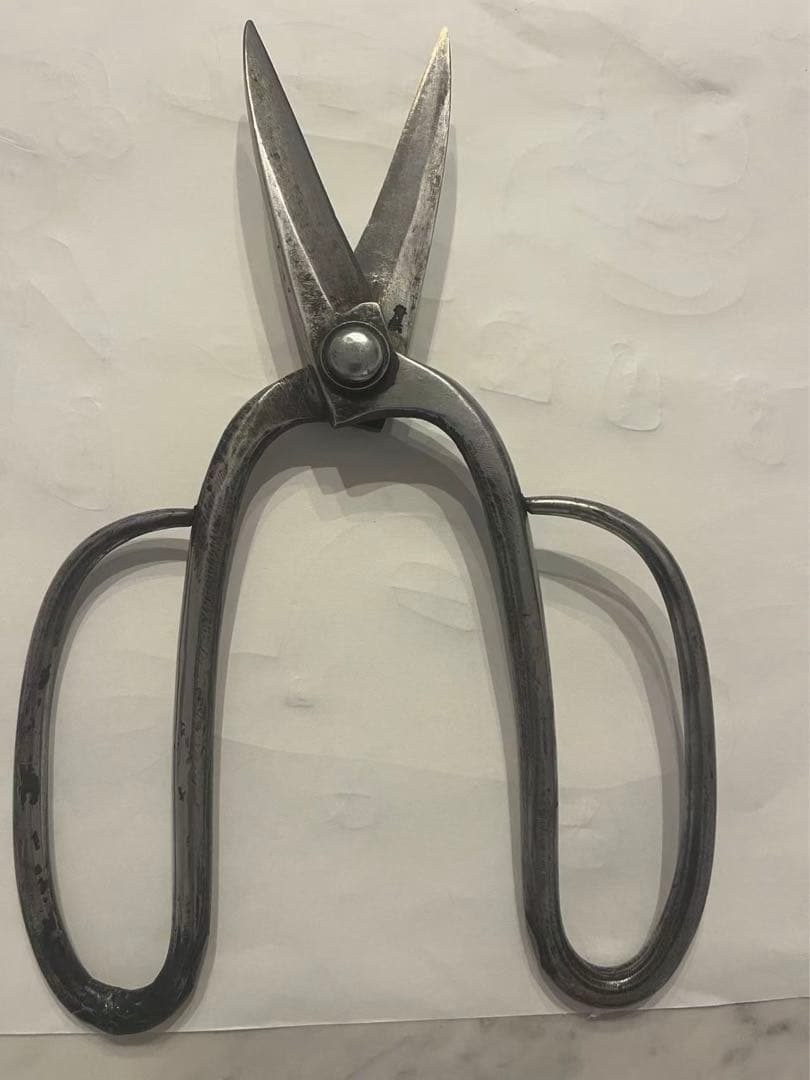 兼由丸 造園 青紙 植木鋏 剪定鋏　植木バサミ　約230mm