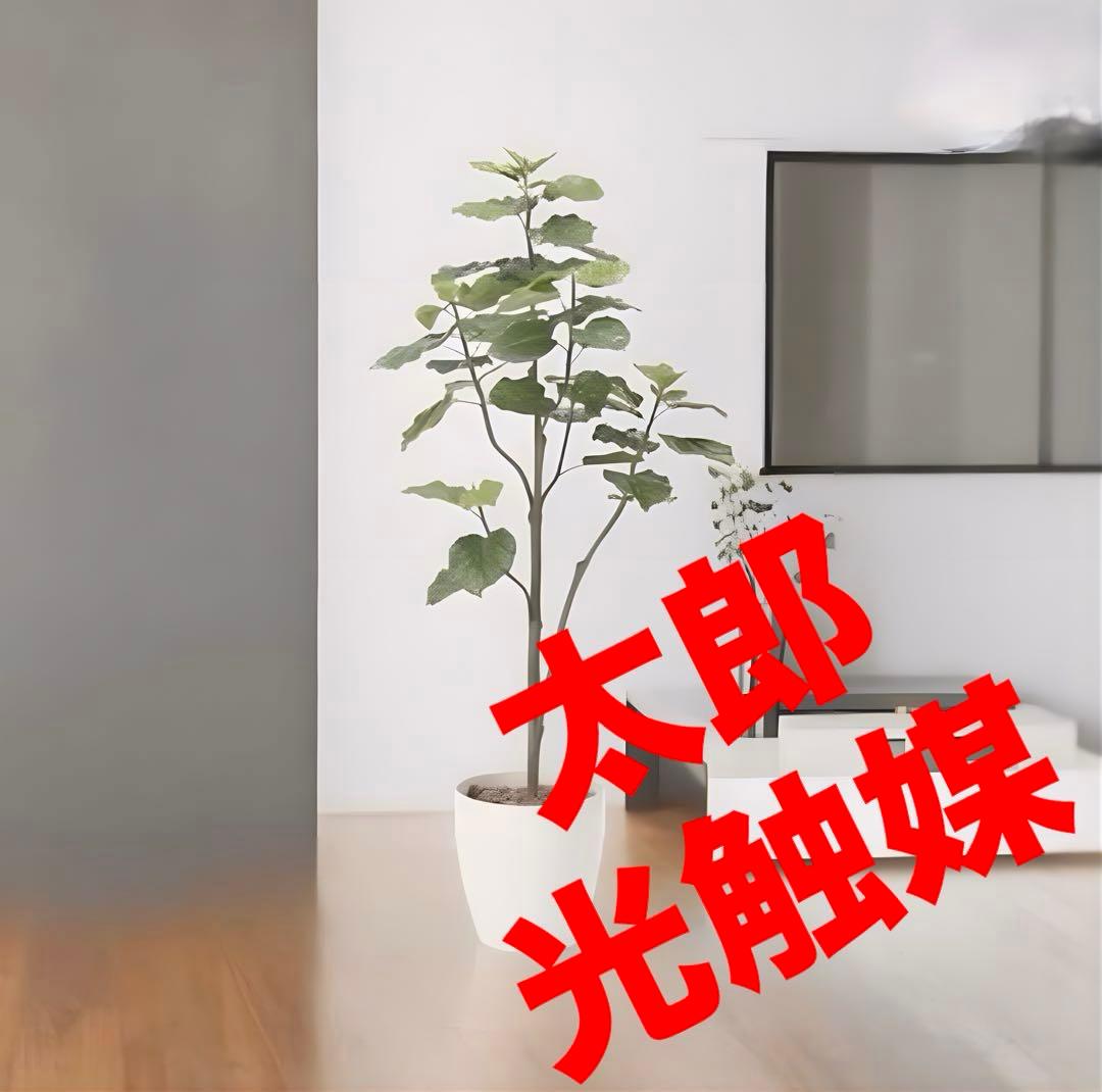 光触媒　人工観葉植物　フェイクグリーン　ウンベラータツリー1.8ｍ