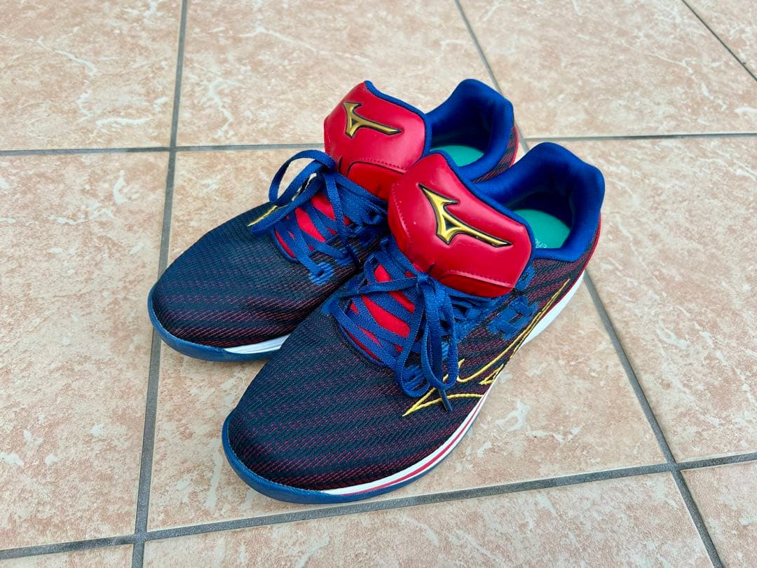 【値下げ】ミズノプロ　ウェーブライトレボランプロ　WBC限定色25.5㎝