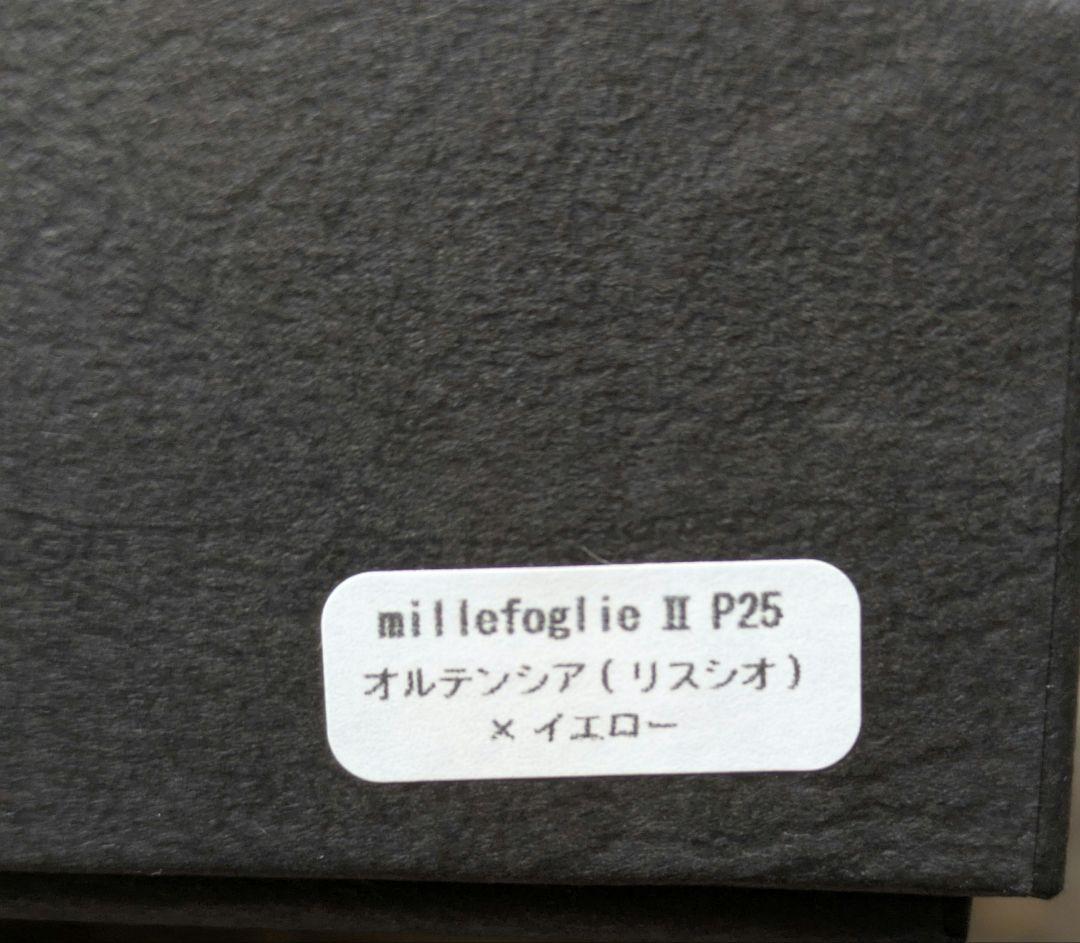 【限定色】エムピウ ミッレフォッリエ P25 オルテンシア