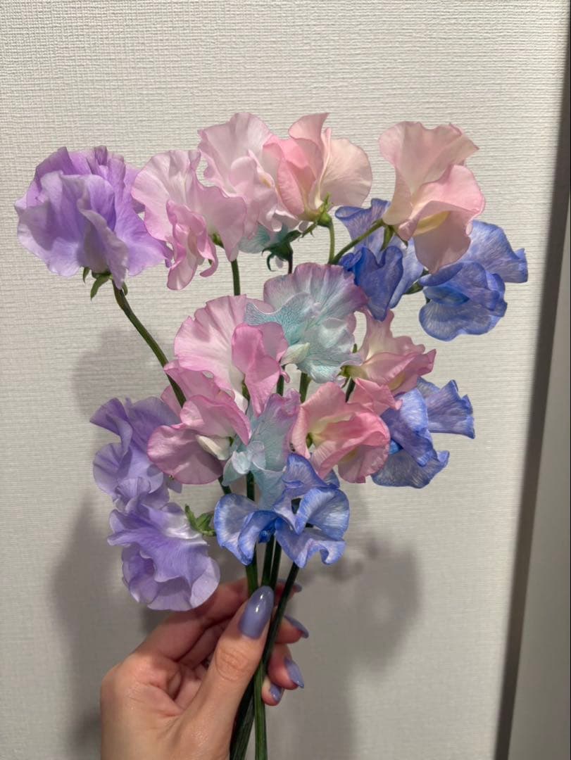 こなこなこなつ