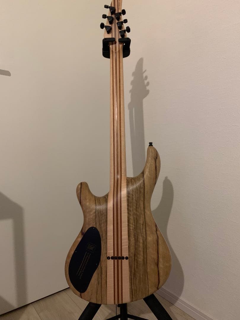 ギター MAYONES Regius 6K [custom order model]