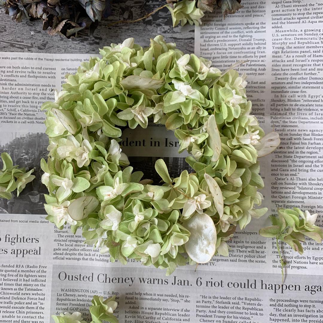 柏葉紫陽花とリナリアのリース　ドライフラワーリース　夏のインテリア