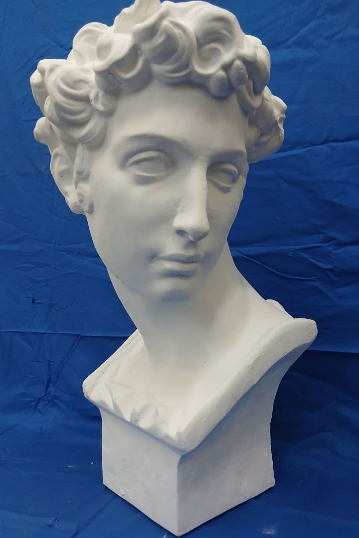 メディチ首像。60cm