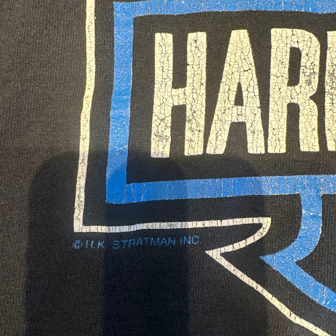 XL Harley Davidson Blue Flame ブルーフレイムロンT