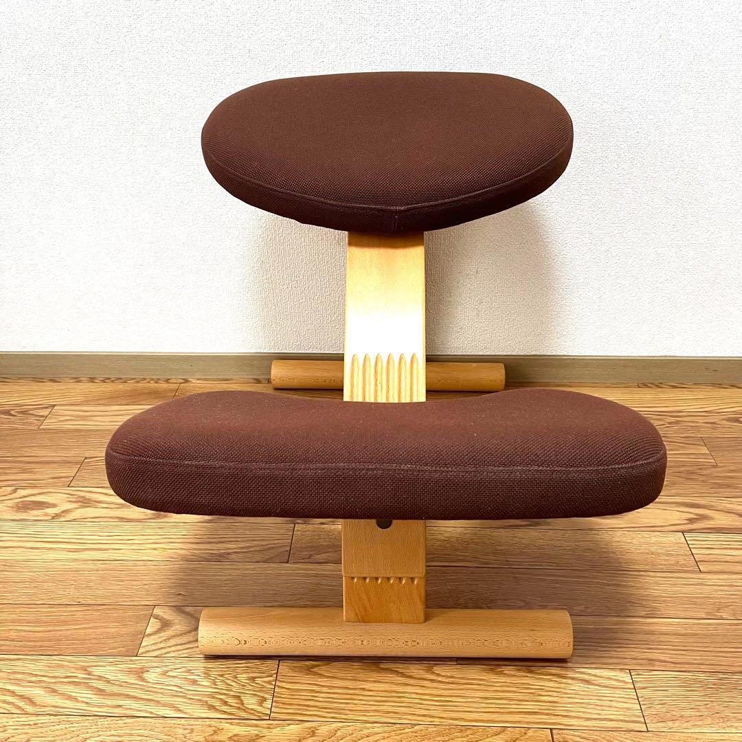 バランスラボ サカモトハウス バランスイージー ブラウン リボ