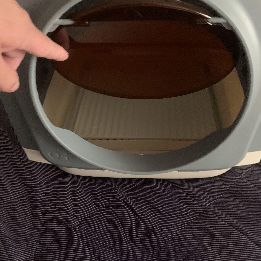 ネコのトイレ大きい