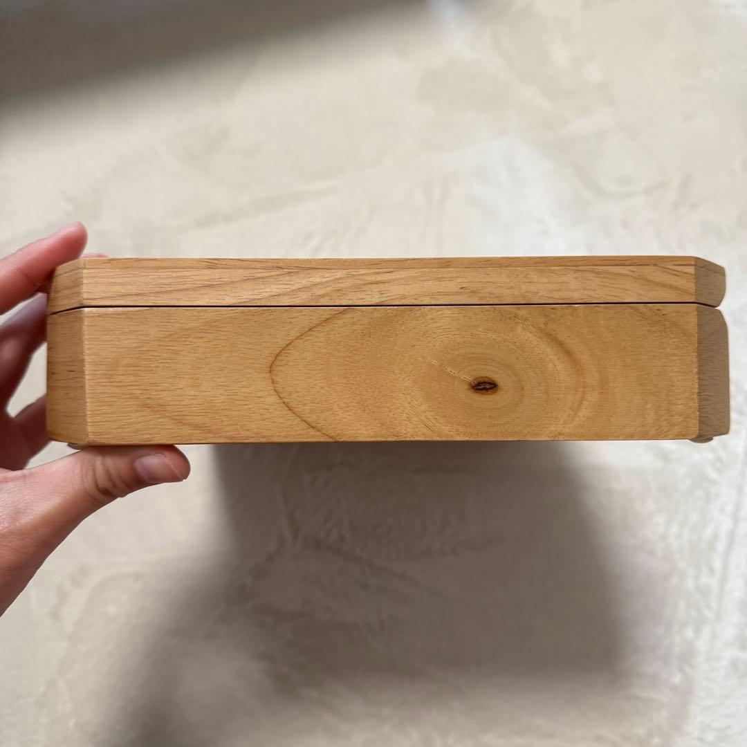 ZARA  アクセサリーケース