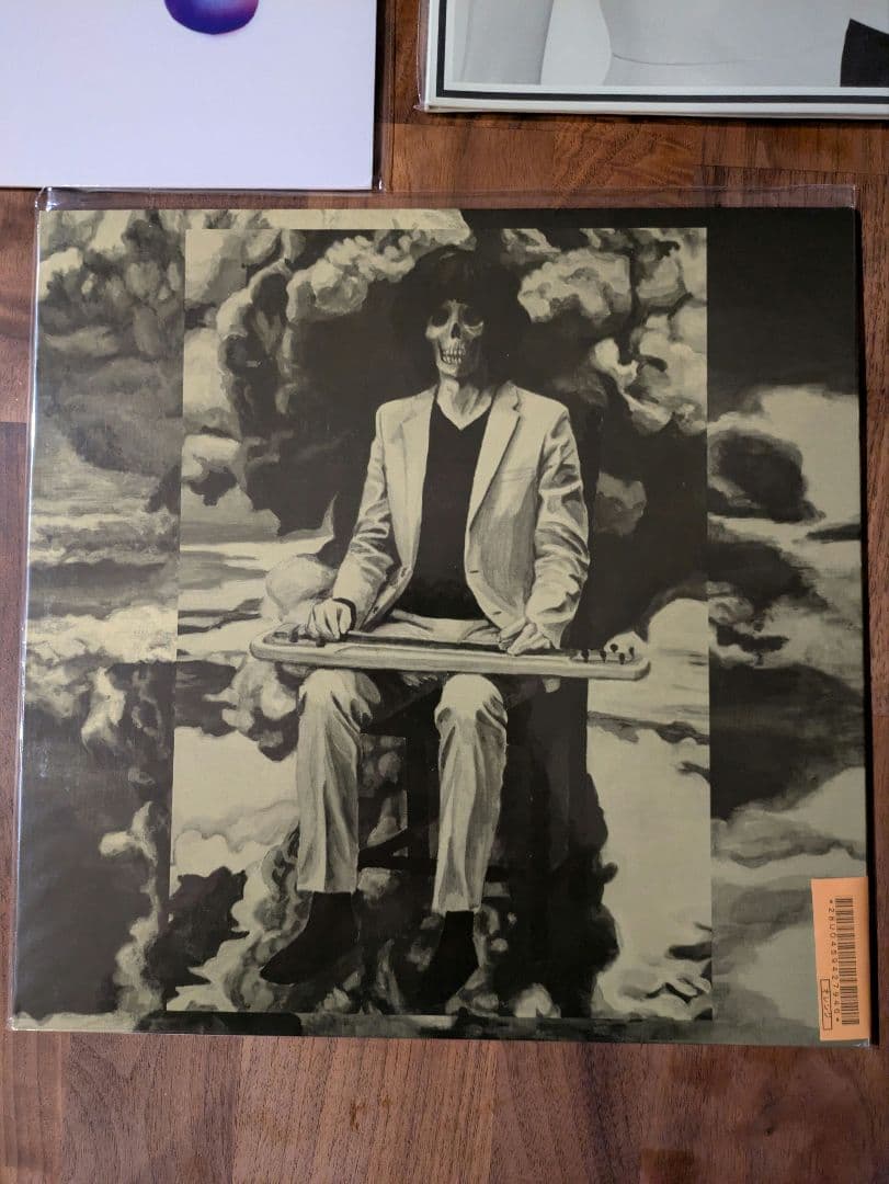 坂本慎太郎　ナマで踊ろう　レコード