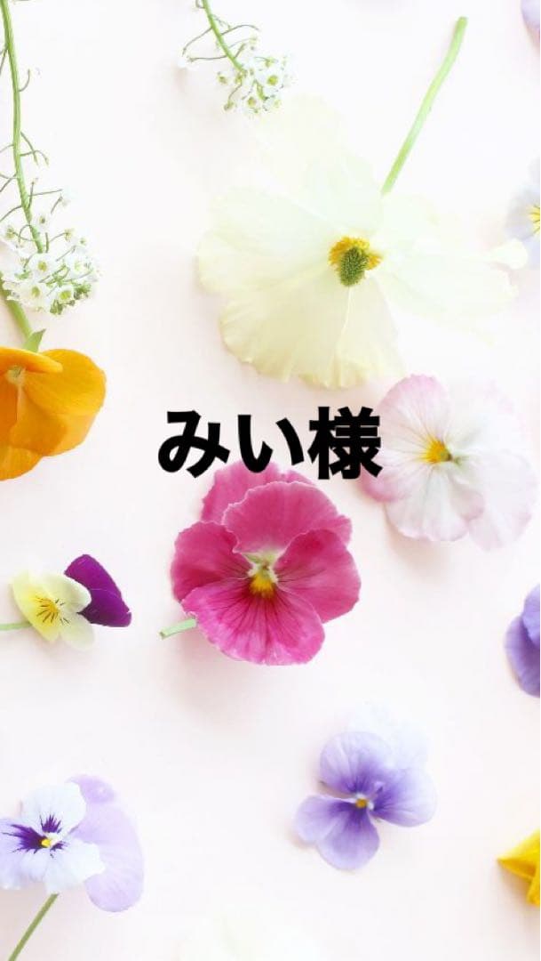 みい出品になります。