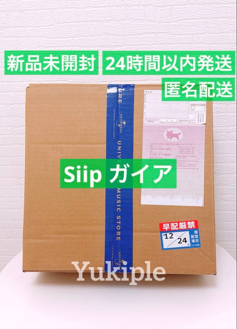 【新品未開封】Siip ガイア 完全生産限定盤 BOX フルセット 大森元貴