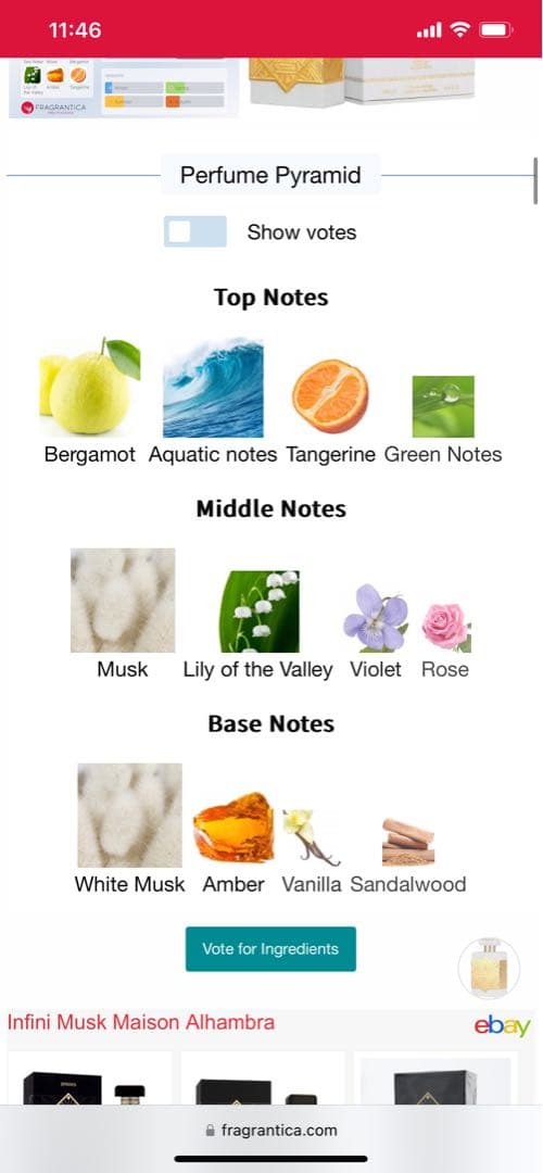 香水(男性用) Maison Alhambra Infini Musk Ruiji