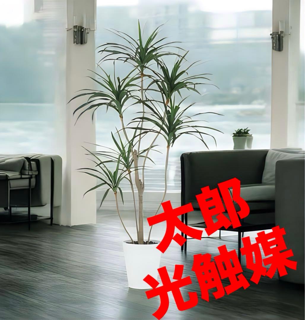 光触媒　人工観葉植物　ウォールグリーン　フェイクグリーン　東北コンシンネ180