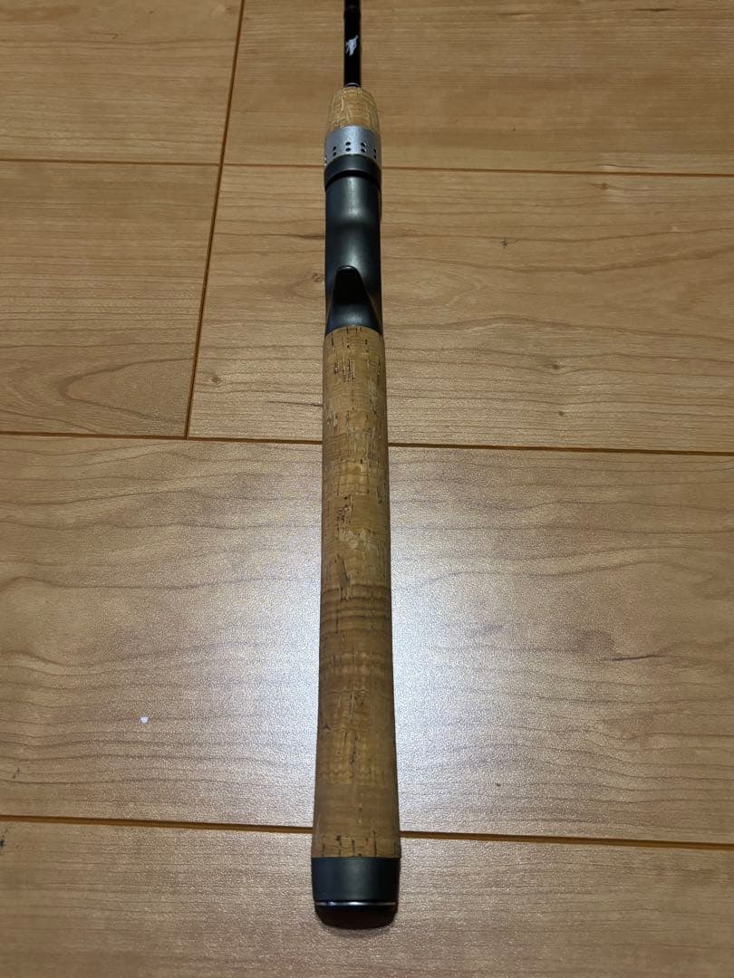 ロッド TEAM DAIWA BATTLER TD-BA601MFB !