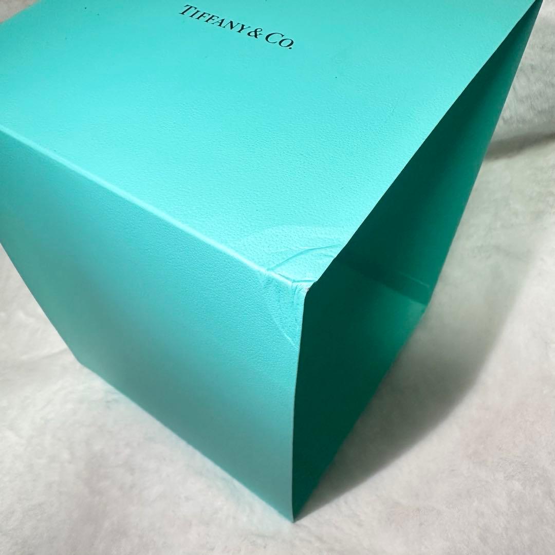 【新品・非売品】希少　ティファニー メリーゴーランド オルゴール　スノードーム