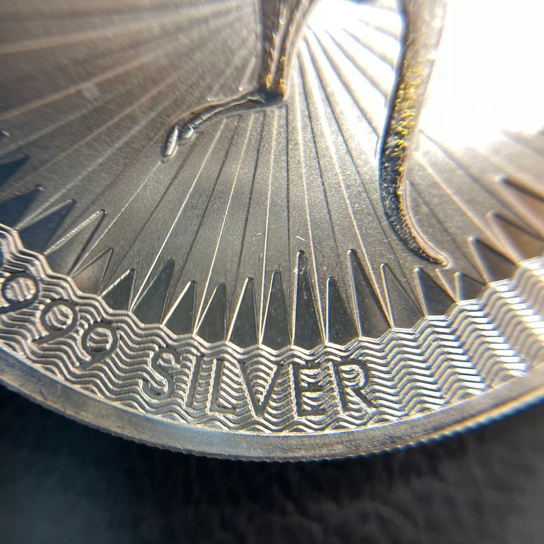 【純銀】オーストラリア　カンガルー 銀貨　1oz ケース付き　①