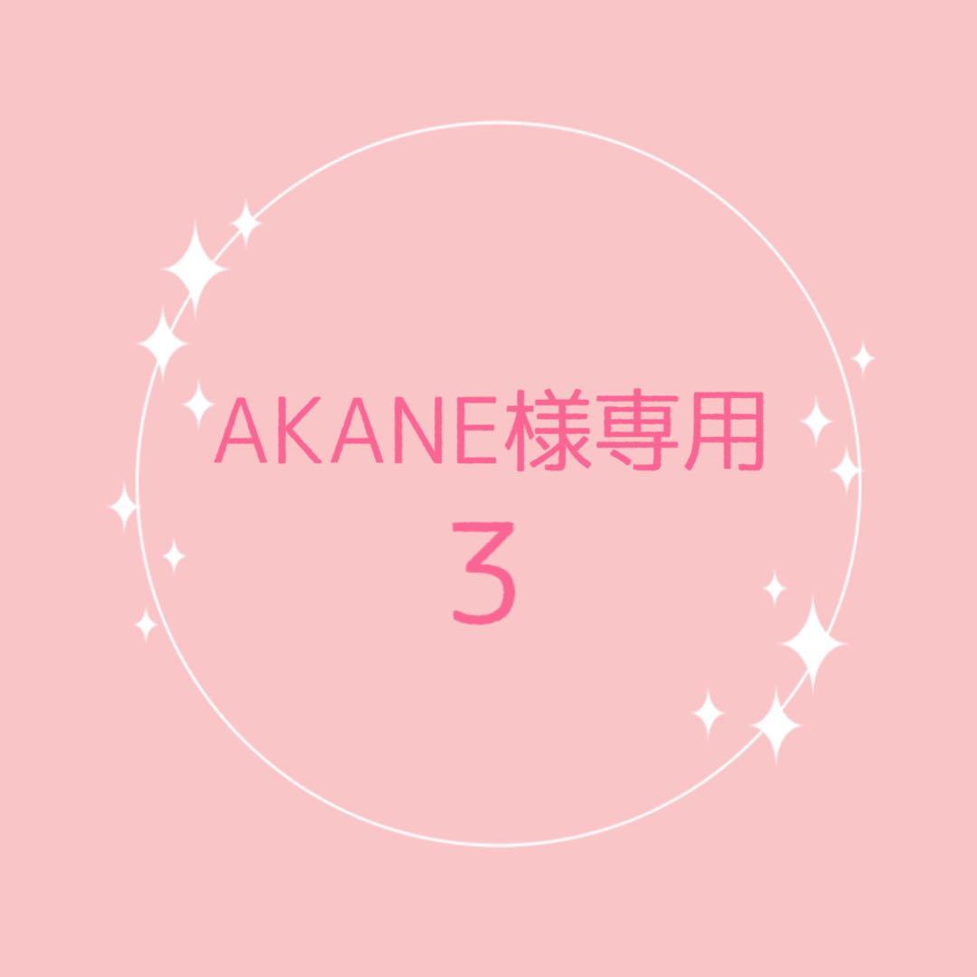 知育玩具 AKANE3