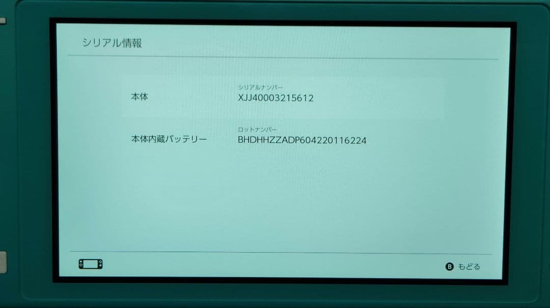 Nintendo Switch Lite ターコイズ 充電器付き 動作品