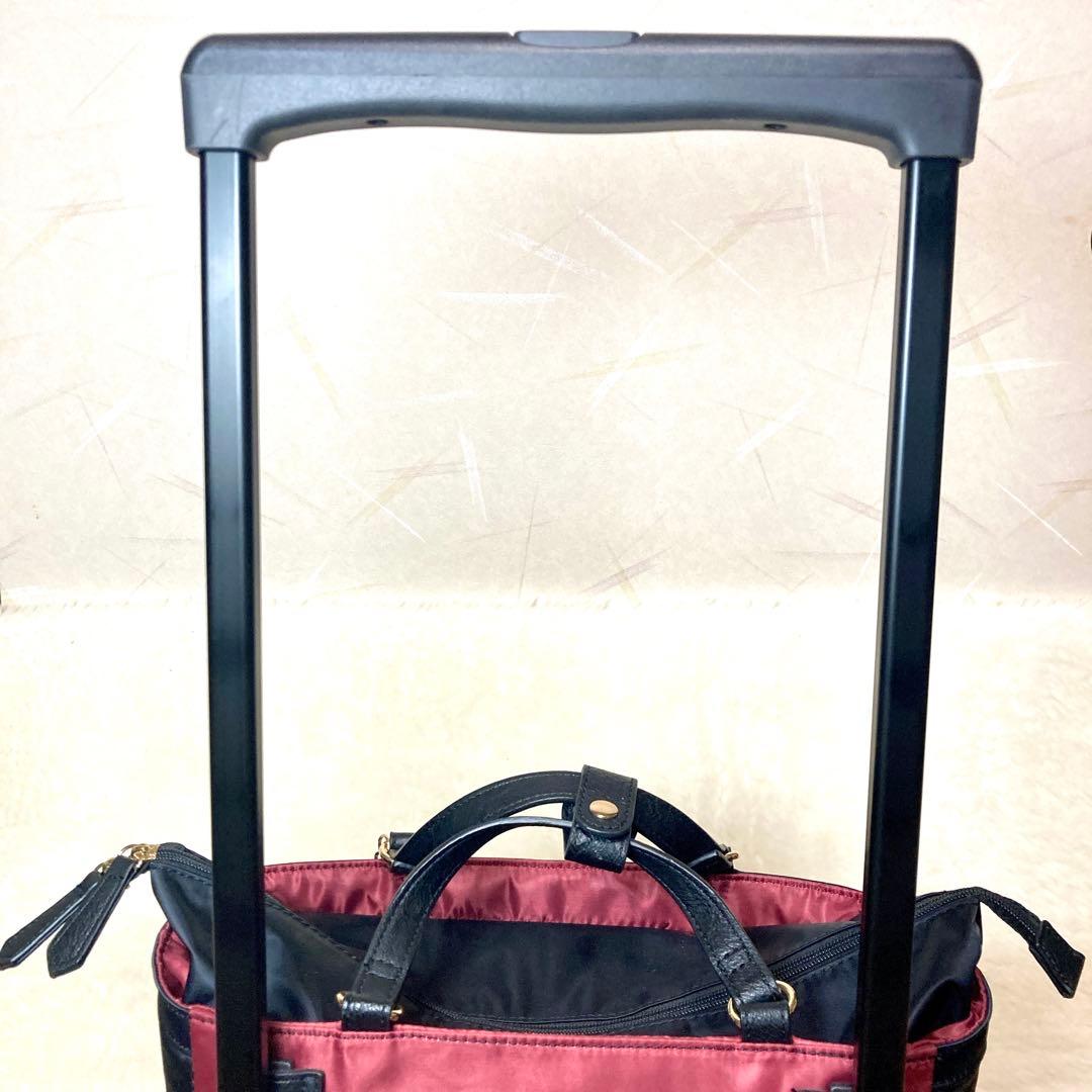 【マミーですけど】SWANY ショッピングカート スワニー バッグ 大容量