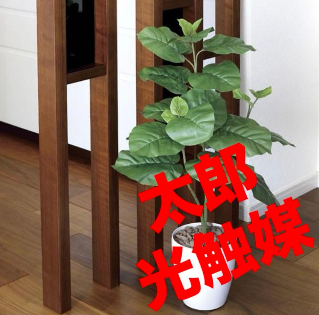 光触媒　人工観葉植物　フェイクグリーン　ウンベラータ高さ80センチ