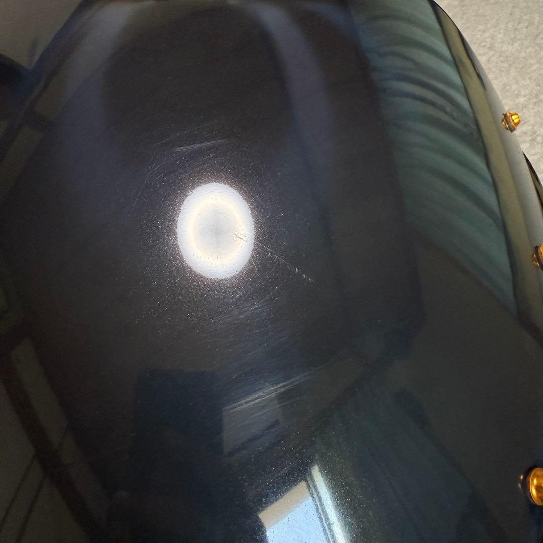 ビキニカウル 汎用 ライト180Φ対応