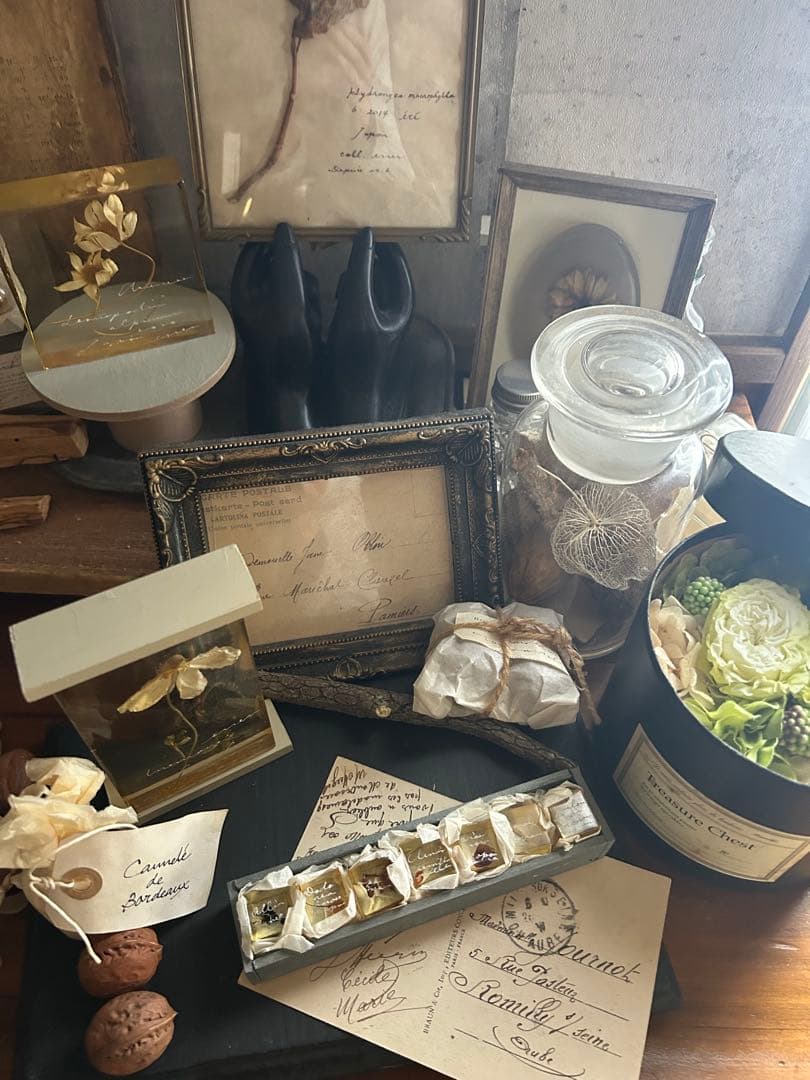 errer 樹脂標本 7種 植物標本 木箱入り 古道具 アンティーク