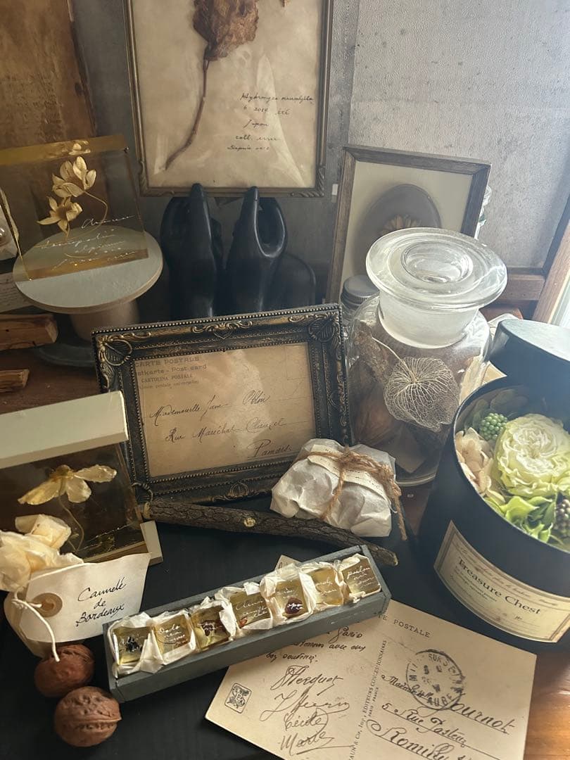 errer 樹脂標本 7種 植物標本 木箱入り 古道具 アンティーク