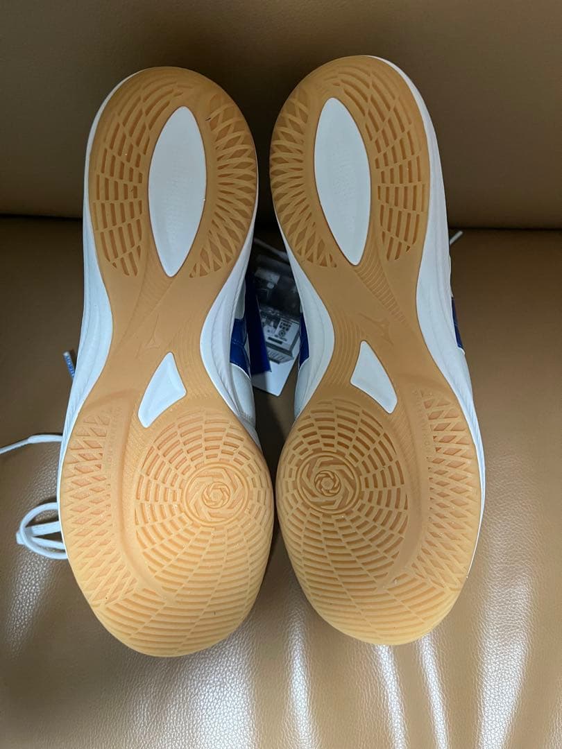 モレリア SALA JAPAN IN フットサルシューズ 26.0cm 箱付き